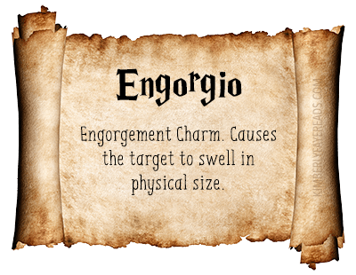 engorgio-harry-potter-spells-tag